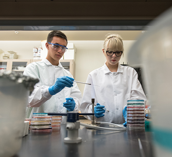 Male and female conducting chemistry experiment in lab environment.