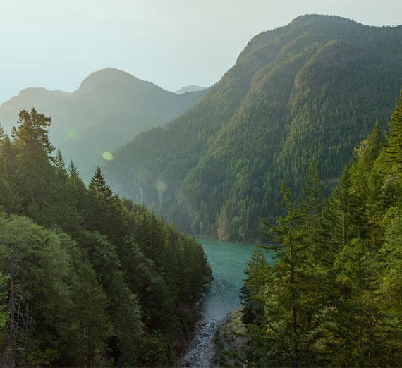 PNW MOSAIC: Mapping Othering, Strength, & Allyship In Community Navigation Image