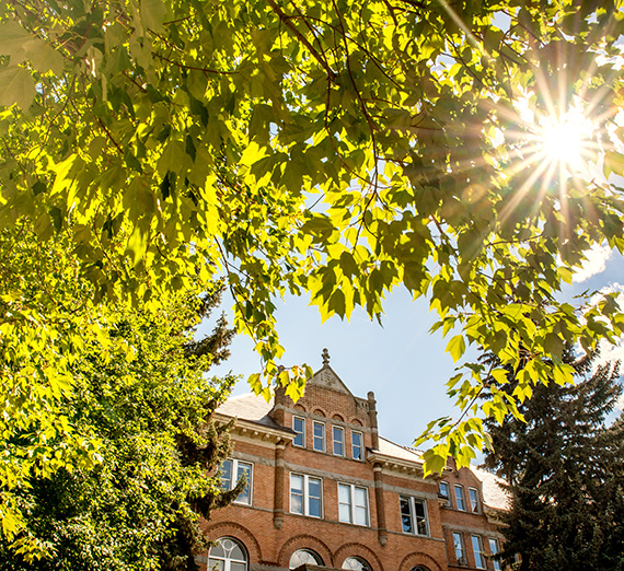 College Hall through the trees with sunlight 