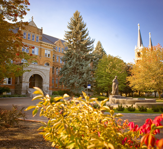 Fall colors take over the plants outside of College Hall.