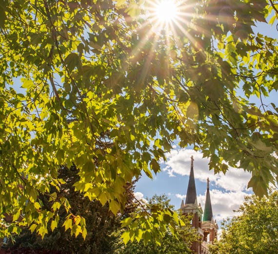 Summer Trees with St. Al's in the background