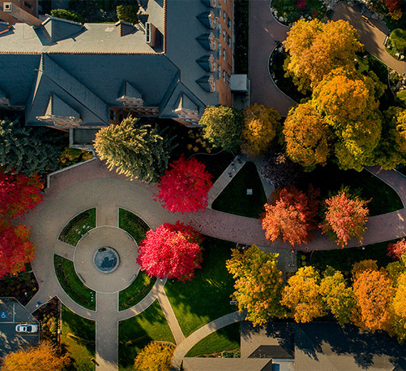 aerial view of fall colors