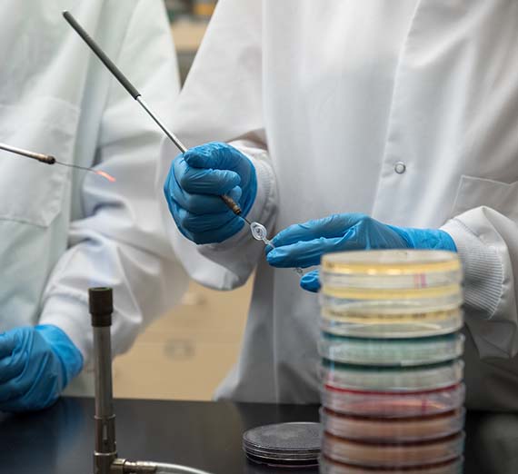 Stacked petri dishes with people in background in a labratory setting.