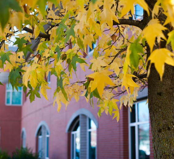 The Rosauer Center for Education Building