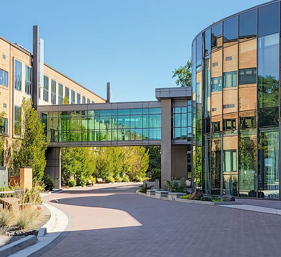 School of Engineering Applied Science Stem Complex