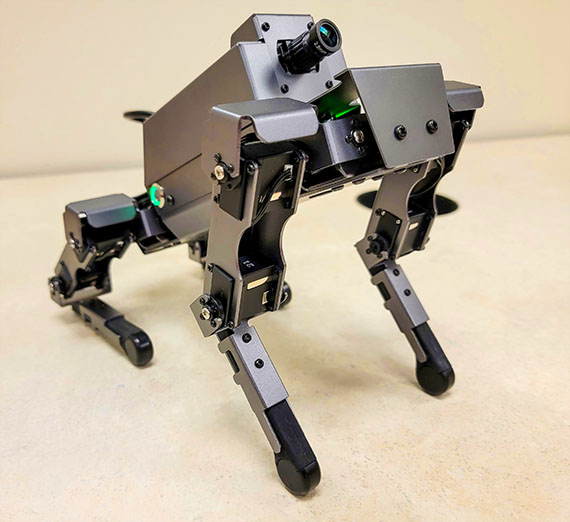 robot dog