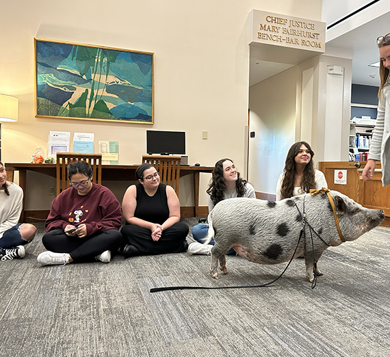 Gonzaga Law trophy case