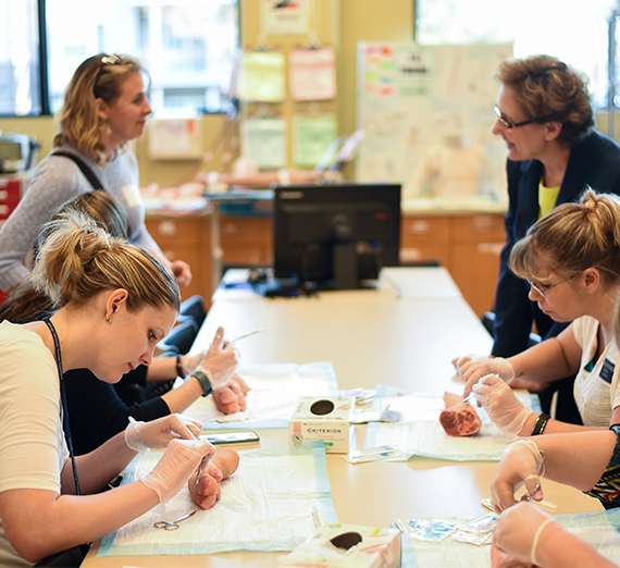 Gonzaga's School of Nursing and Human Physiology Nursing Department Open House demo of stitching with pig feet