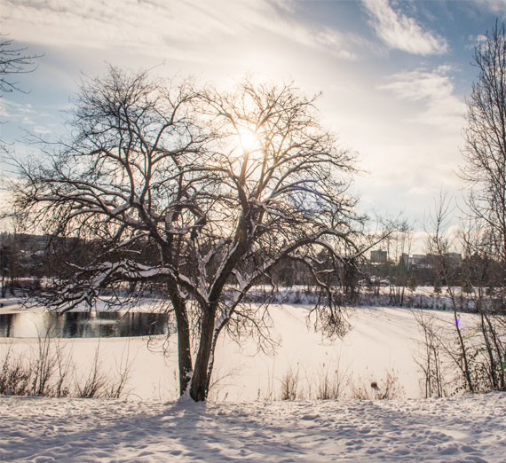 lake arthur in the winter 