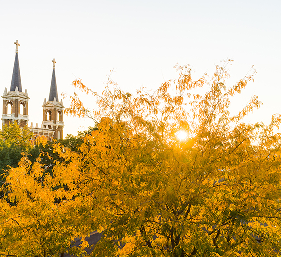 sunlight shines through tree leaves with St. Al's church on Gonzaga University campus