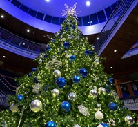 decorated tree in Hemmingson Center
