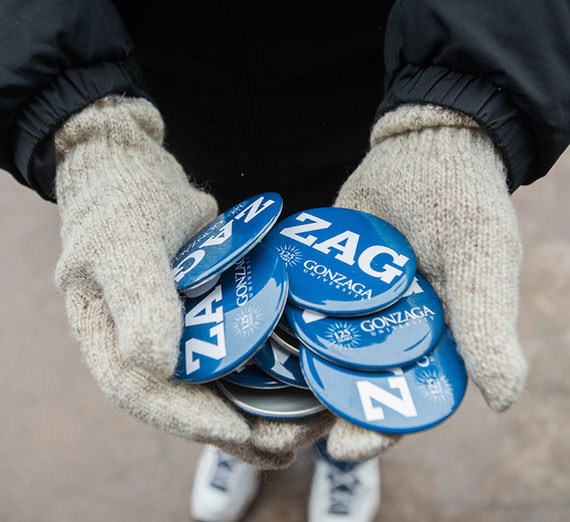 Handful of Zag Pins
