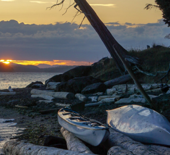 Gonzaga in the wilderness