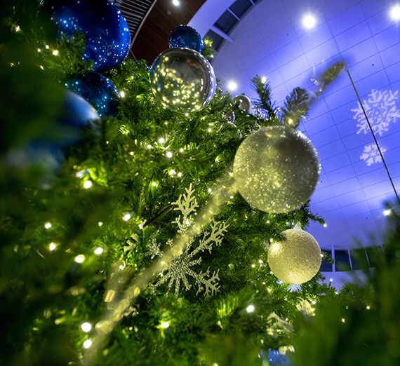Decorations on the Hemmingson Center Christmas Tree