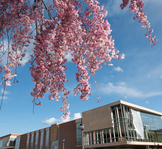 Spring time in front of Hemmingson Center.