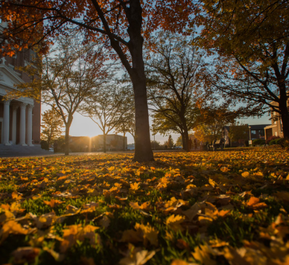 Sun shines through leaves near St. Aloysius on a fall day