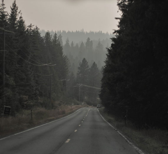 A gloomy forest road stretches forward, bordered by tall trees and mist.