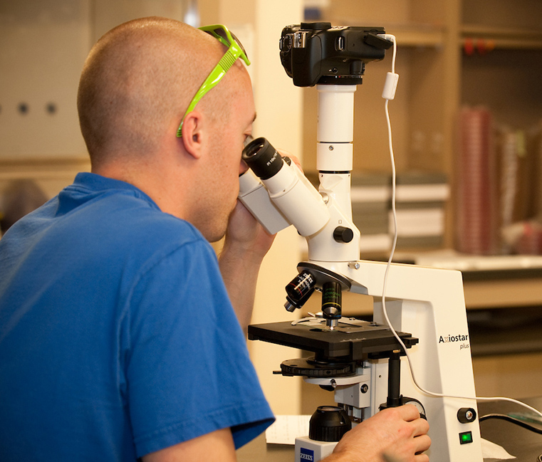A student looks through a microscope in a lab