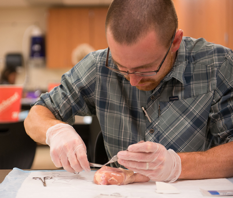 A nursing student practices stitches on a piece of chicken.
