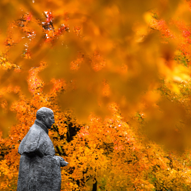 An image of a black statue of St. Ignatius of Loyola that sits in front of College Hall. It is a profile view of the statue surrounded by orange fall leaves on the trees.