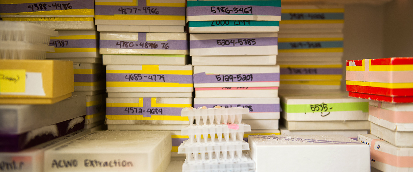 A collection of samples are labeled and sorted into stacks