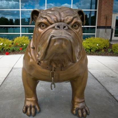 Bronze Bulldog outside of McCarthy Center 