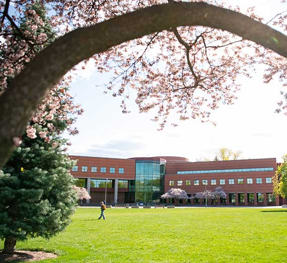 spring view of foley library