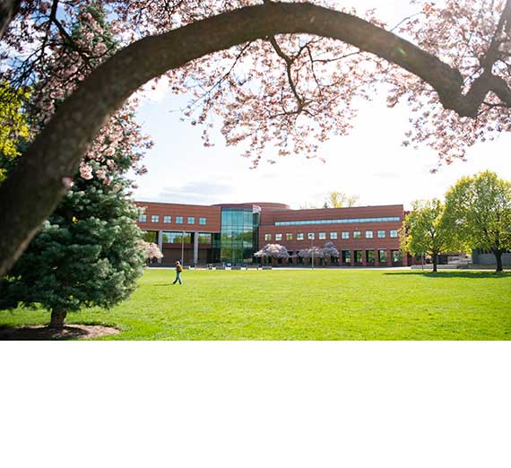 foley library in spring