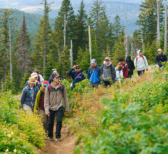 Students hiking through green shrubs and trees.