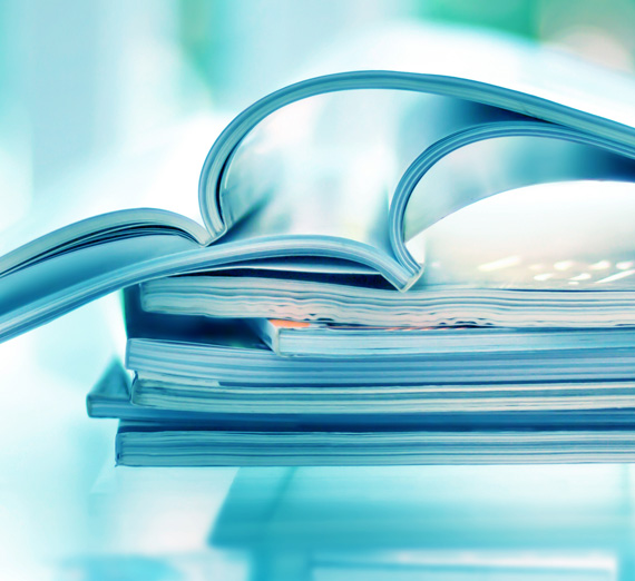 CSAS - Disability Access Brochure Image