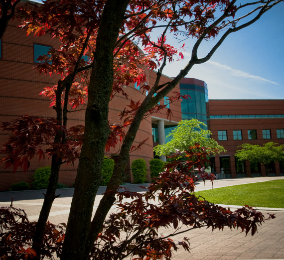 Canvas page thumbnail image of Foley in Fall
