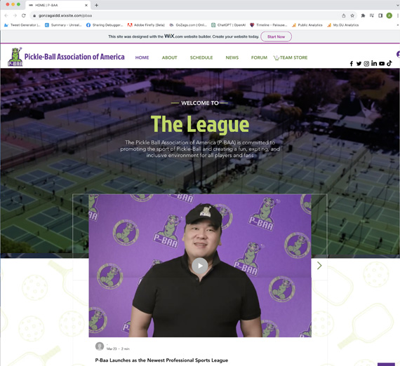 IDD Pickle-Ball Association of America P-Baa simulation image