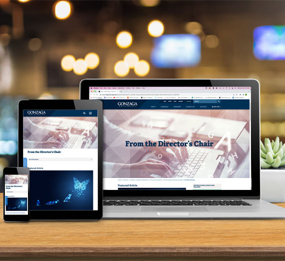 IDD Web User Interface Samples Directors Blog Project Image