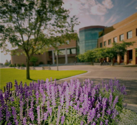 Request a Consultation Image