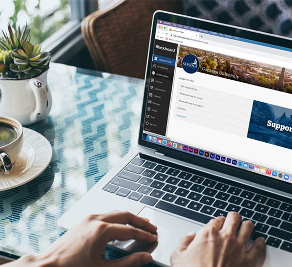 LMS Blackboard Support