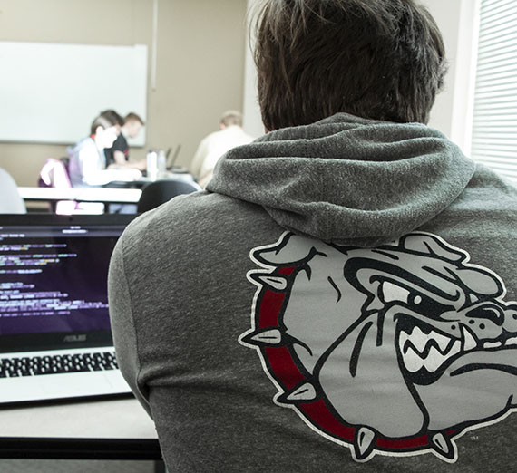 bulldog hoodie with computer