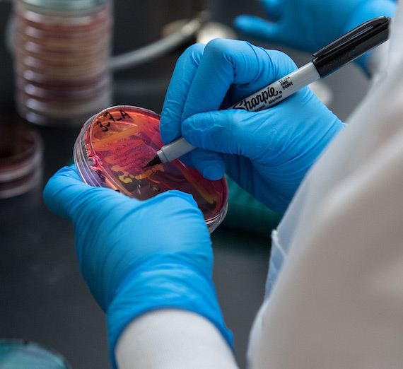 Science students work in a lab over summer break