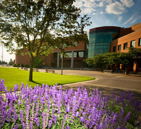 foley library 