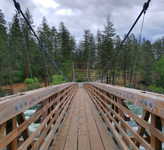 Bowl and Pitcher bridge
