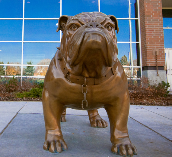 The Bronze Bulldog