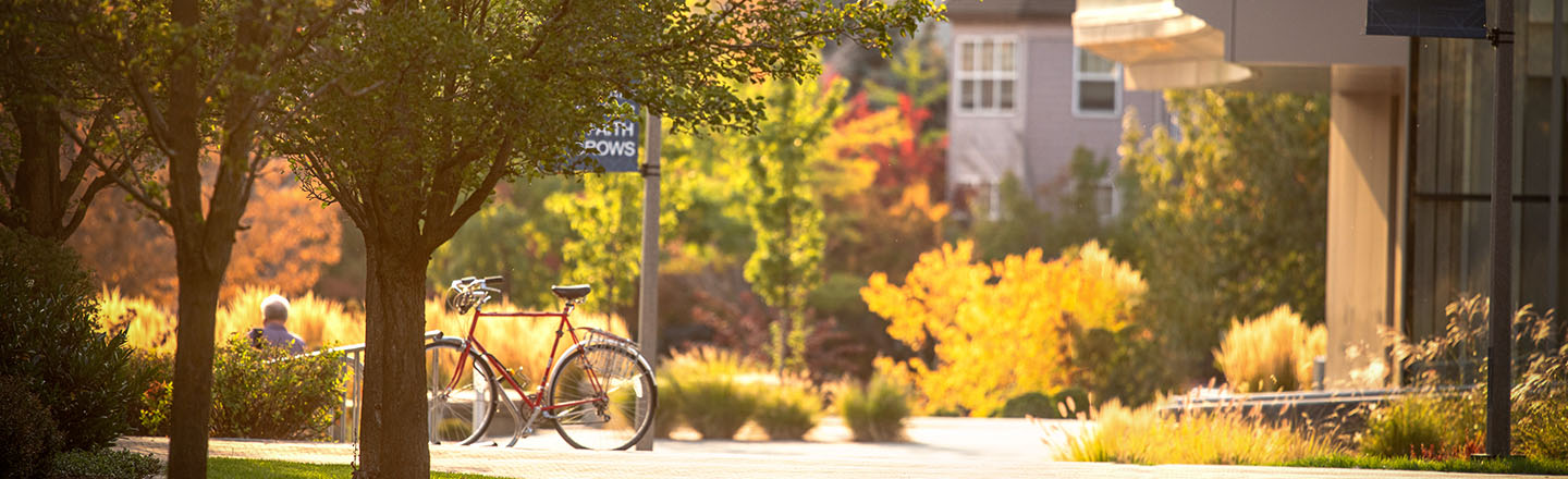 Campus pathway with a bike parked on the side.