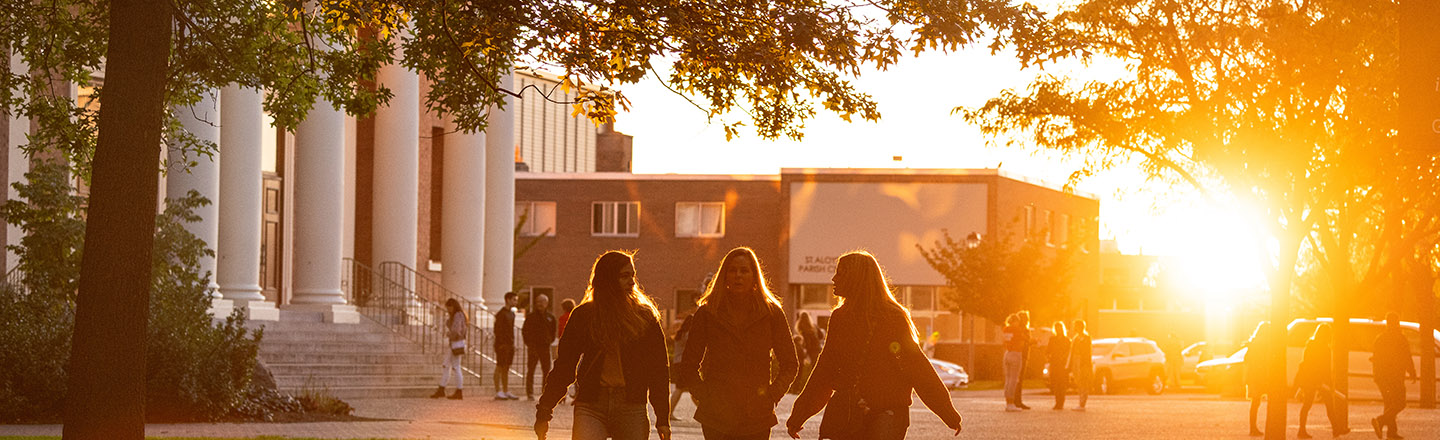 Decorative silhouette of people walking during sunset.