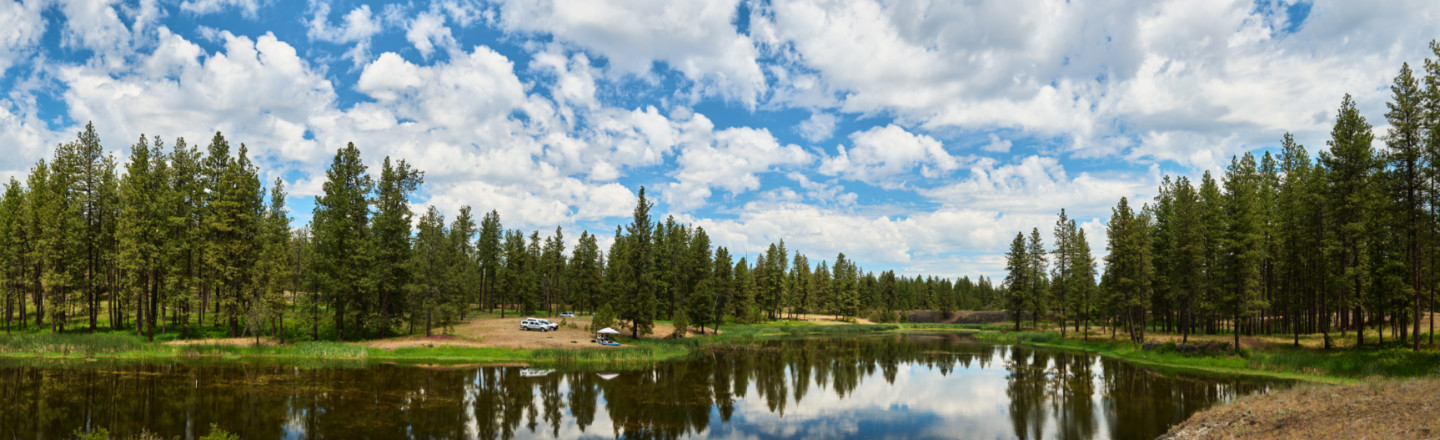 Turnbull Wildlife Refuge