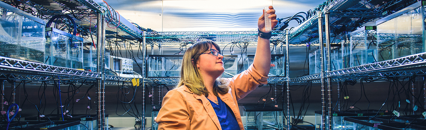 Research student examines a test tube in a labratory environment