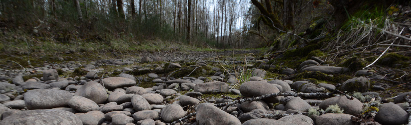 dry riverbed rocks