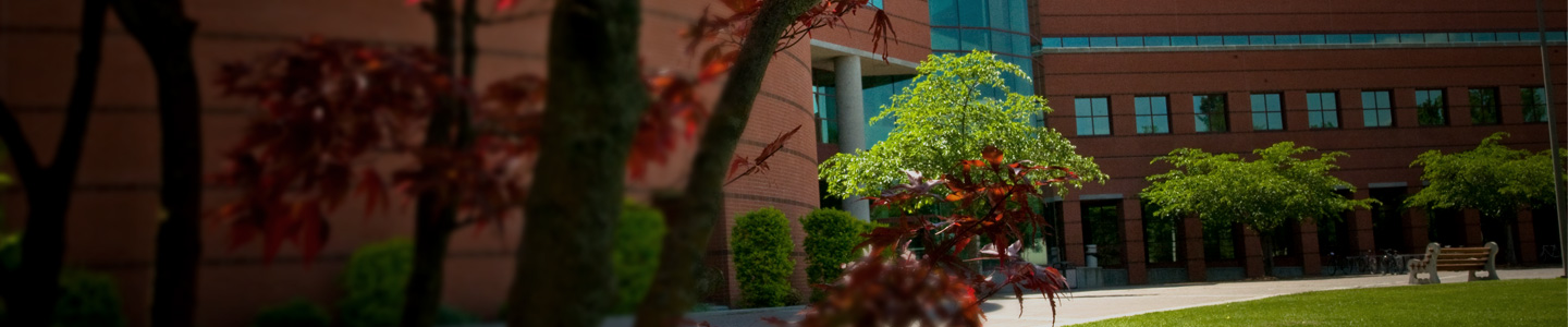 IDD Canvas Page Jumbotron showing the Foley Building because it's the location of all Canvas Workshops