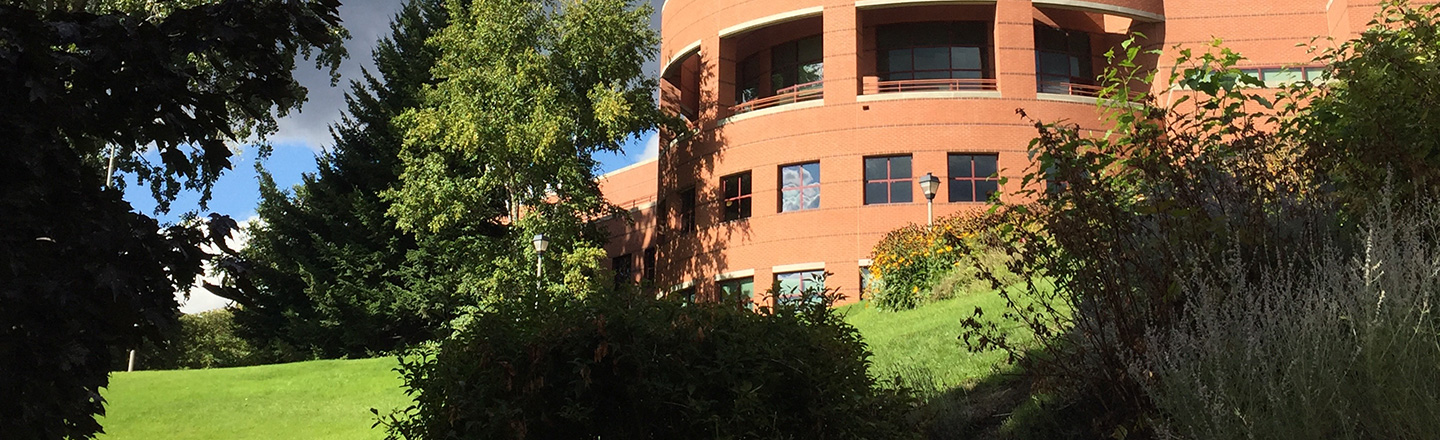 Gonzaga University Foley Library Exterior, Trees, Grass