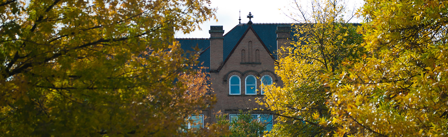 Nursing Faculty