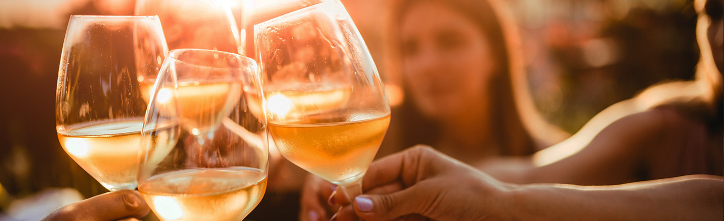 A group of people toast wine glasses.