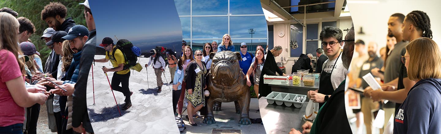 Photo collage of immersions